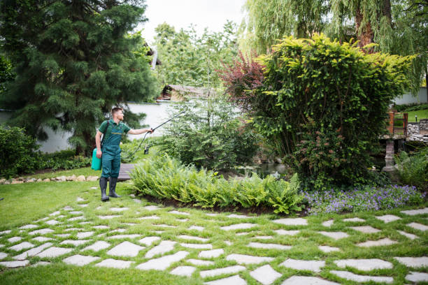 Best Pest Removal Services  in Culver City, CA