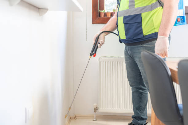 Wasp Removal Services in Culver City, CA