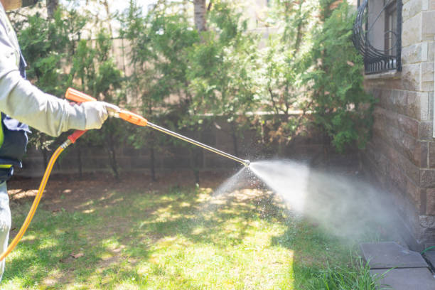 Best Exterminator Services  in Culver City, CA