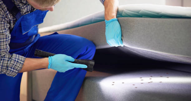Best Commercial Pest Control Services  in Culver City, CA