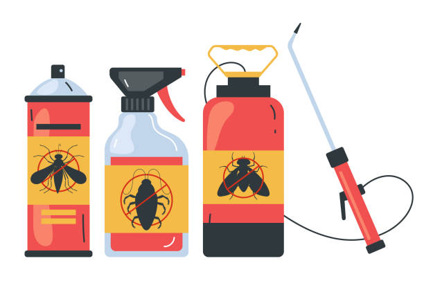 Best Wasp Removal Services  in Culver City, CA