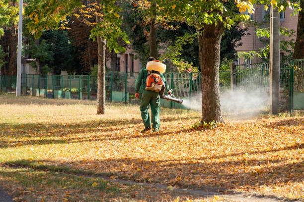  Culver City, CA Pest Control Pros