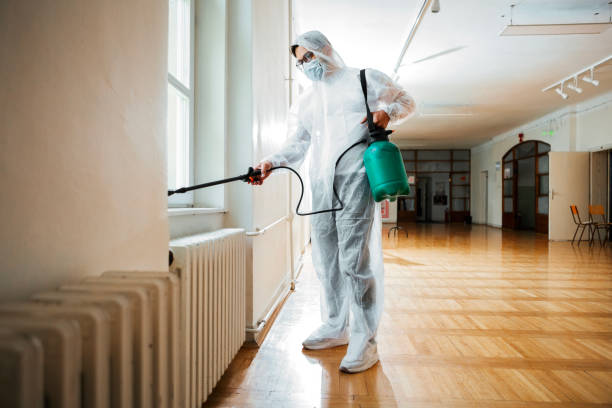 Professional Pest Control in Culver City, CA