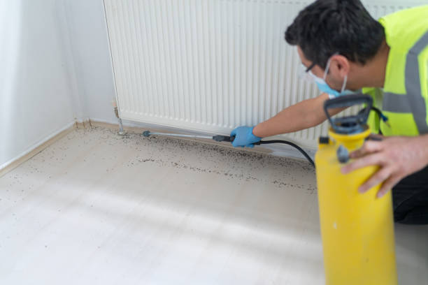 Best Pest Inspection Near Me  in Culver City, CA
