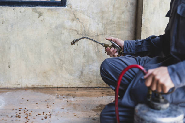 Best Emergency Pest Control  in Culver City, CA